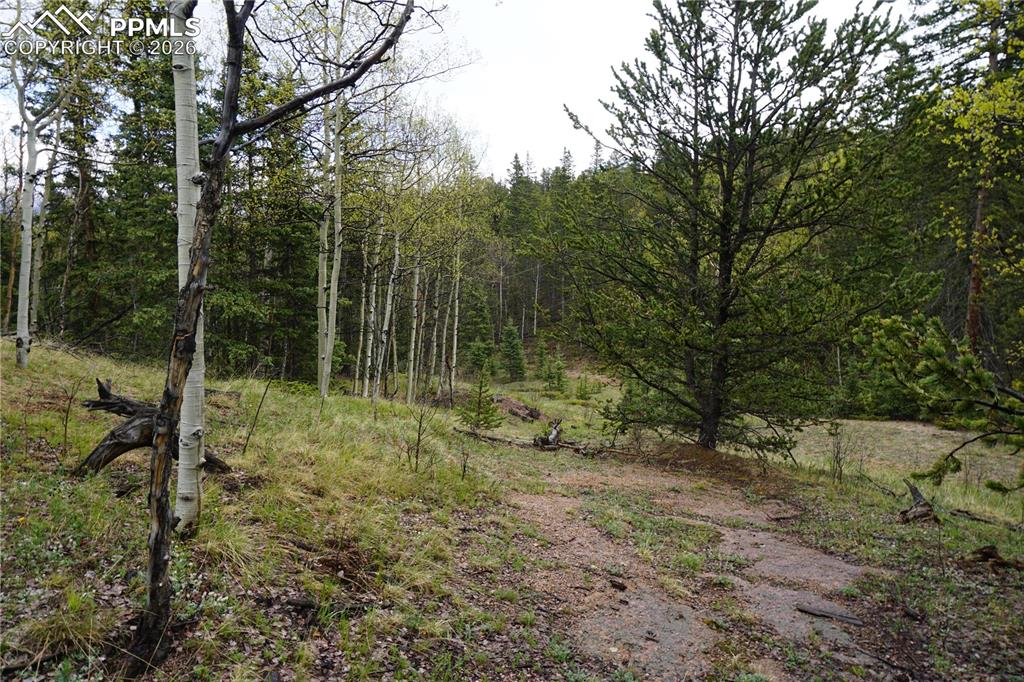 Vacant Land Cripple Creek CO 80813