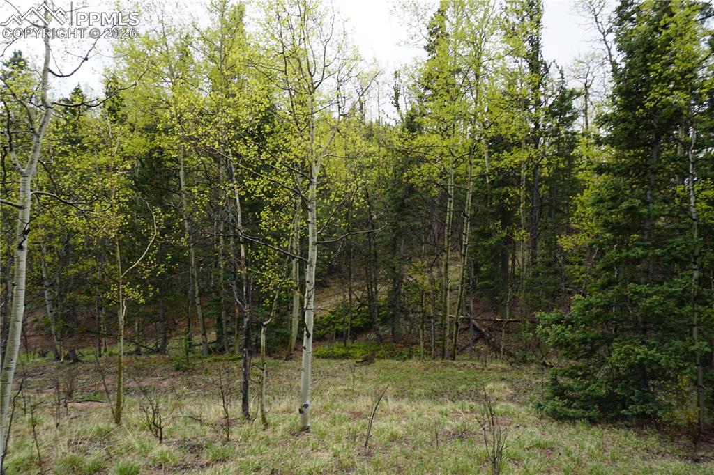 Vacant Land Cripple Creek CO 80813