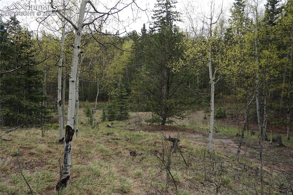 Vacant Land Cripple Creek CO 80813