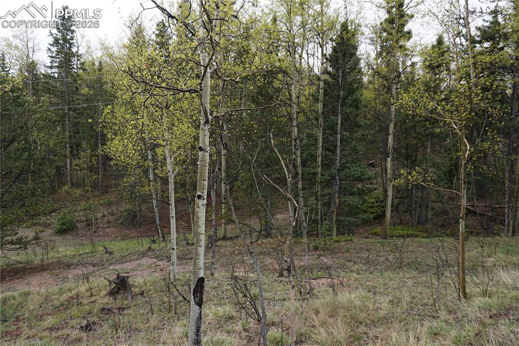 Vacant Land Cripple Creek CO 80813