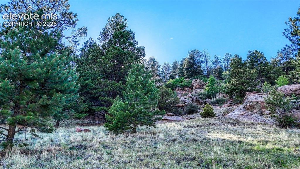 83 Penrose Circle Cripple Creek CO 80813
