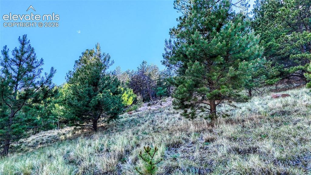 83 Penrose Circle Cripple Creek CO 80813