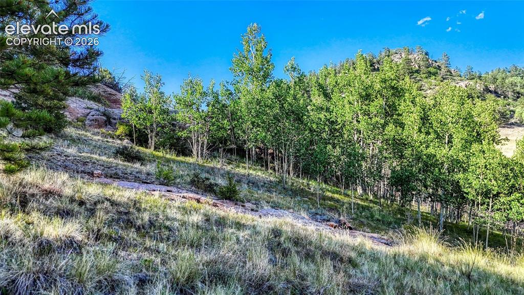 83 Penrose Circle Cripple Creek CO 80813
