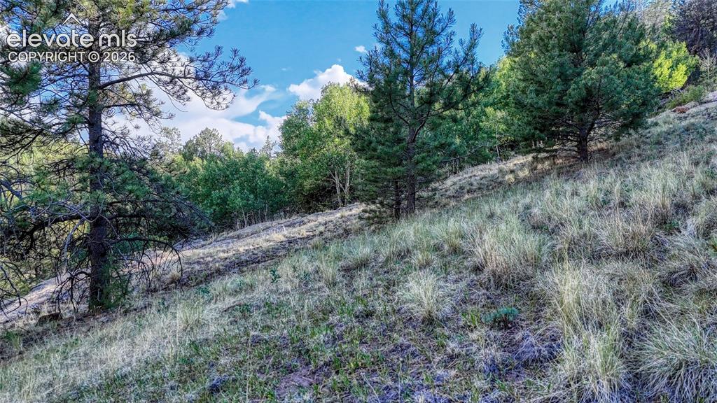 83 Penrose Circle Cripple Creek CO 80813