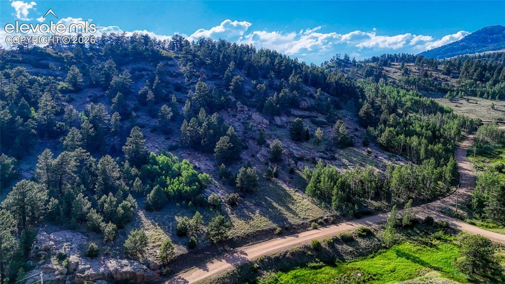 83 Penrose Circle Cripple Creek CO 80813