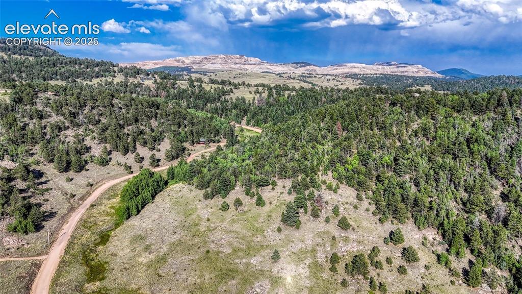 83 Penrose Circle Cripple Creek CO 80813