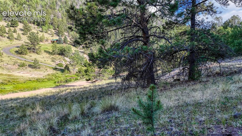 83 Penrose Circle Cripple Creek CO 80813