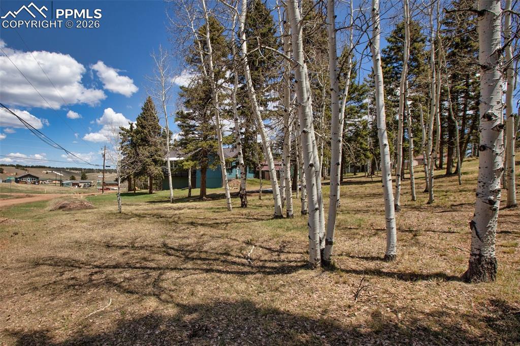 571 Will Scarlet Drive Divide CO 80814