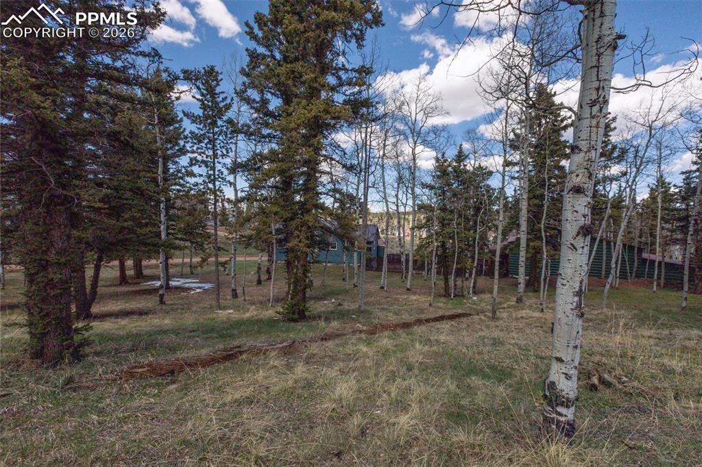 571 Will Scarlet Drive Divide CO 80814