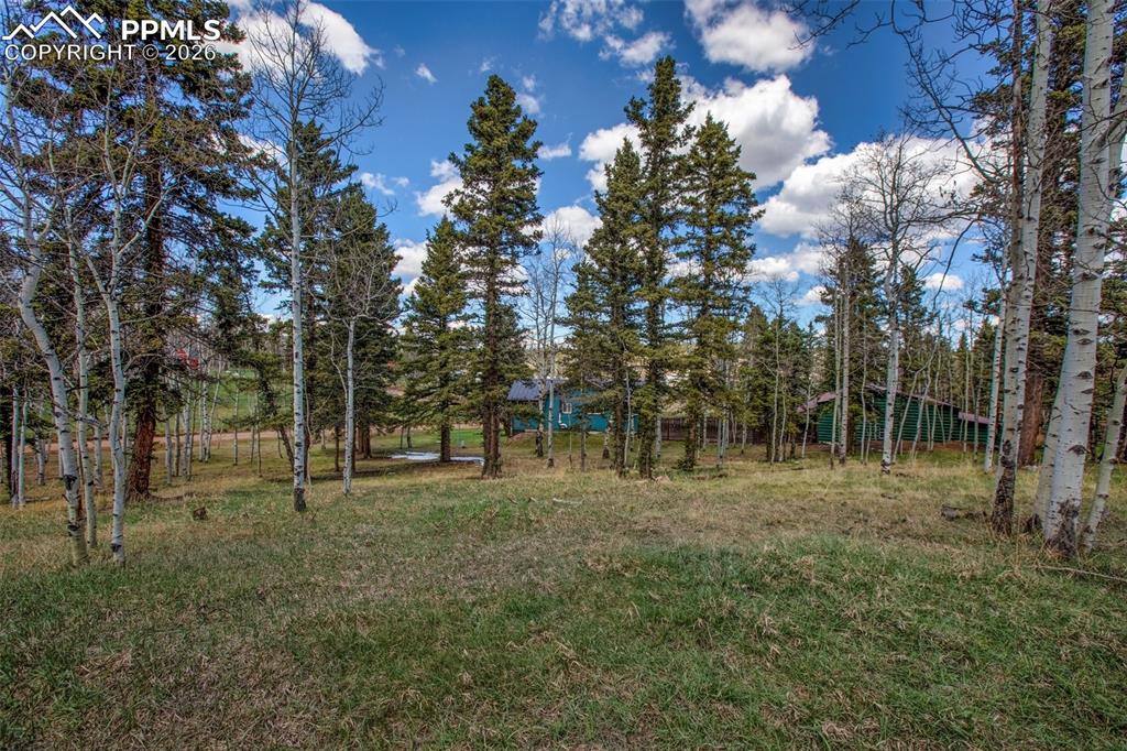 571 Will Scarlet Drive Divide CO 80814