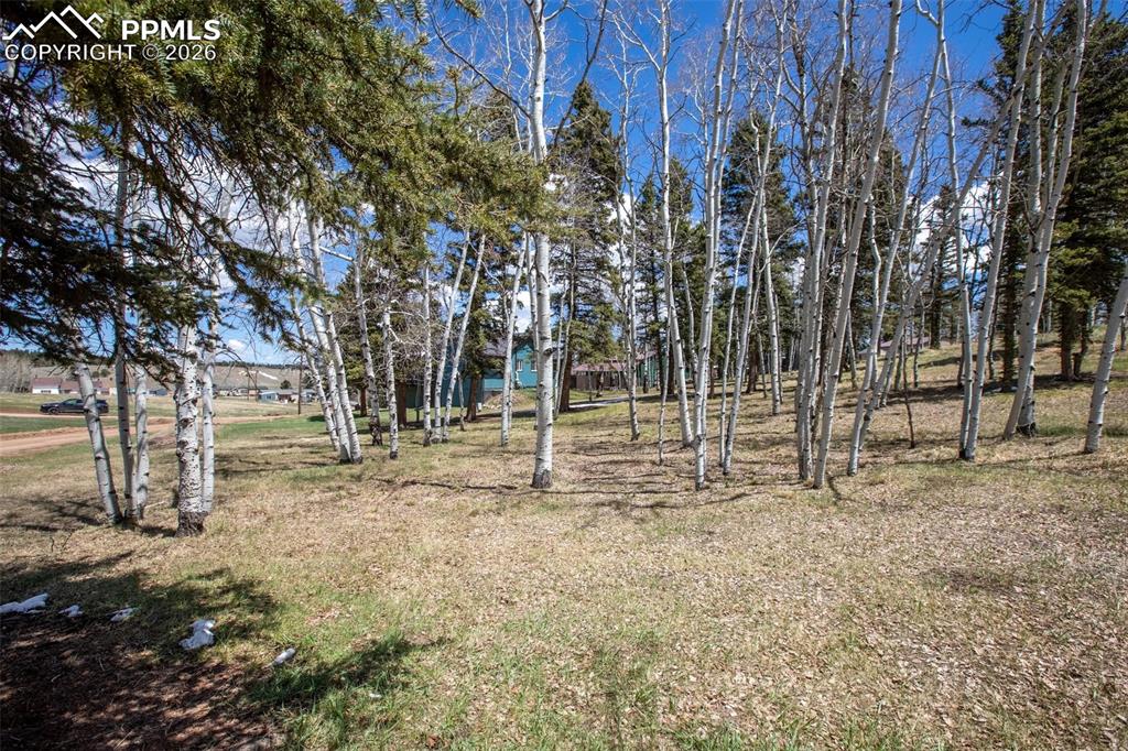 571 Will Scarlet Drive Divide CO 80814