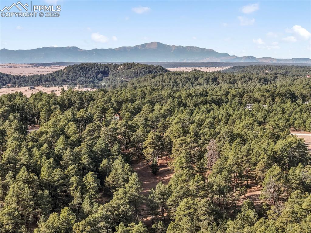18230 Cumbres Court Peyton CO 80831