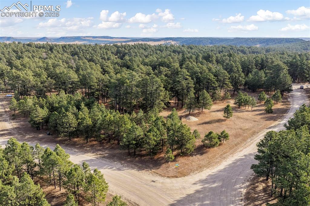 18230 Cumbres Court Peyton CO 80831