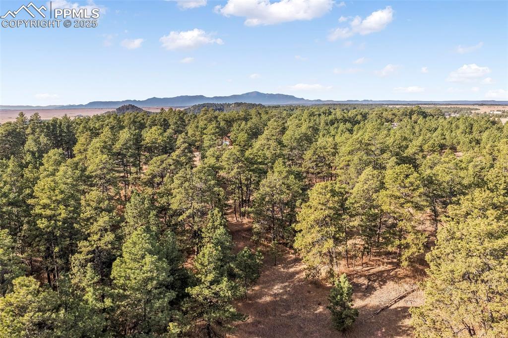 18230 Cumbres Court Peyton CO 80831