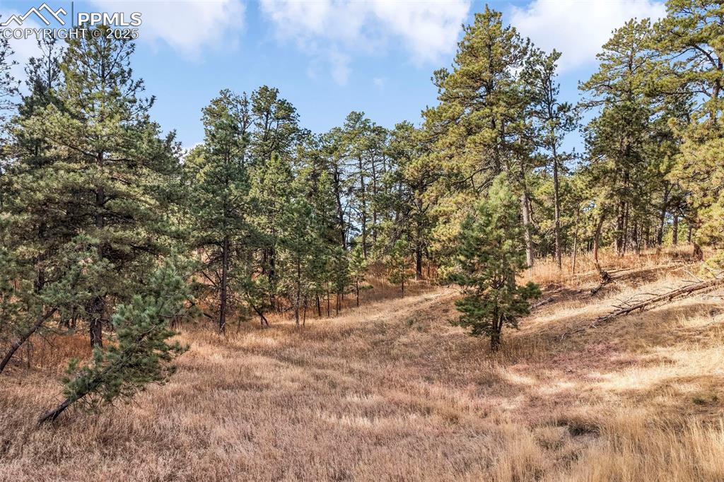 18230 Cumbres Court Peyton CO 80831