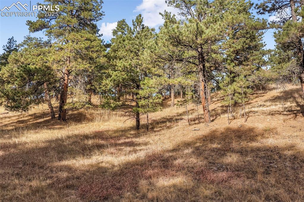 18230 Cumbres Court Peyton CO 80831