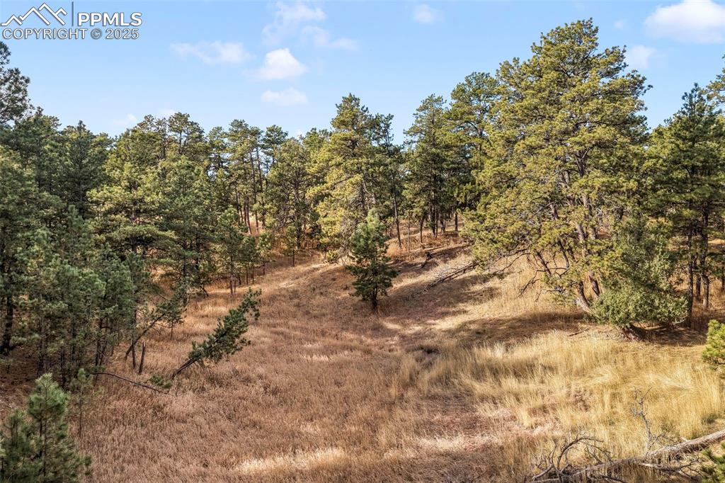 18230 Cumbres Court Peyton CO 80831
