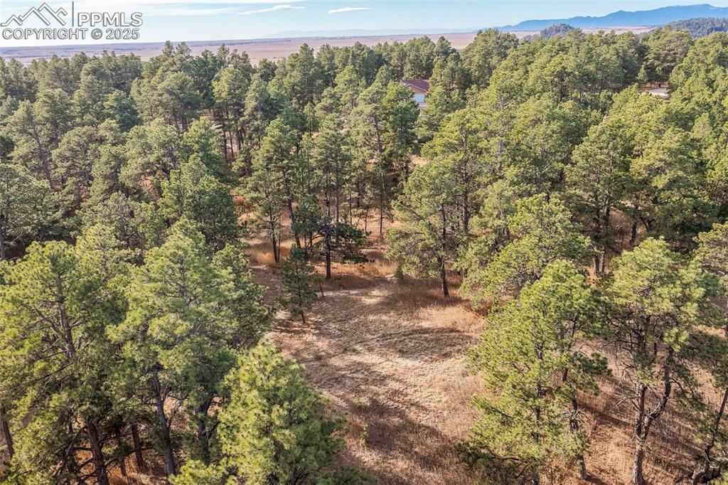 18230 Cumbres Court Peyton CO 80831