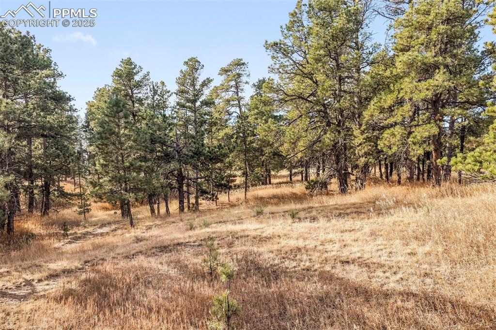 18230 Cumbres Court Peyton CO 80831