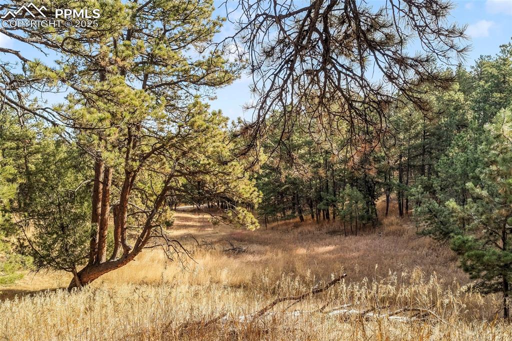 18230 Cumbres Court Peyton CO 80831
