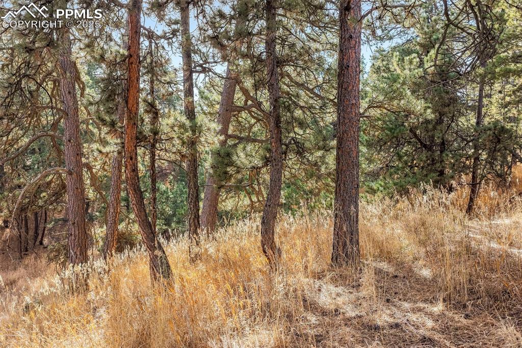 18230 Cumbres Court Peyton CO 80831