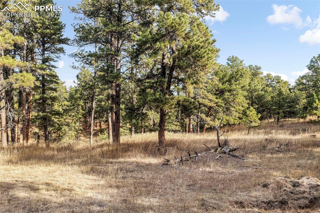 18230 Cumbres Court Peyton CO 80831