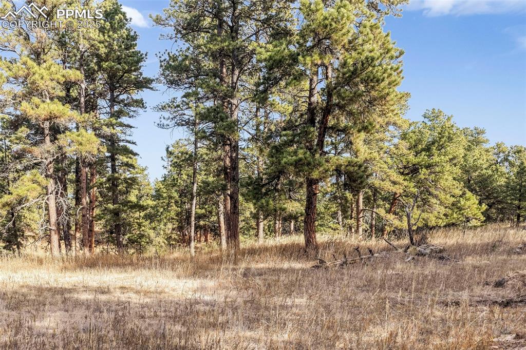 18230 Cumbres Court Peyton CO 80831