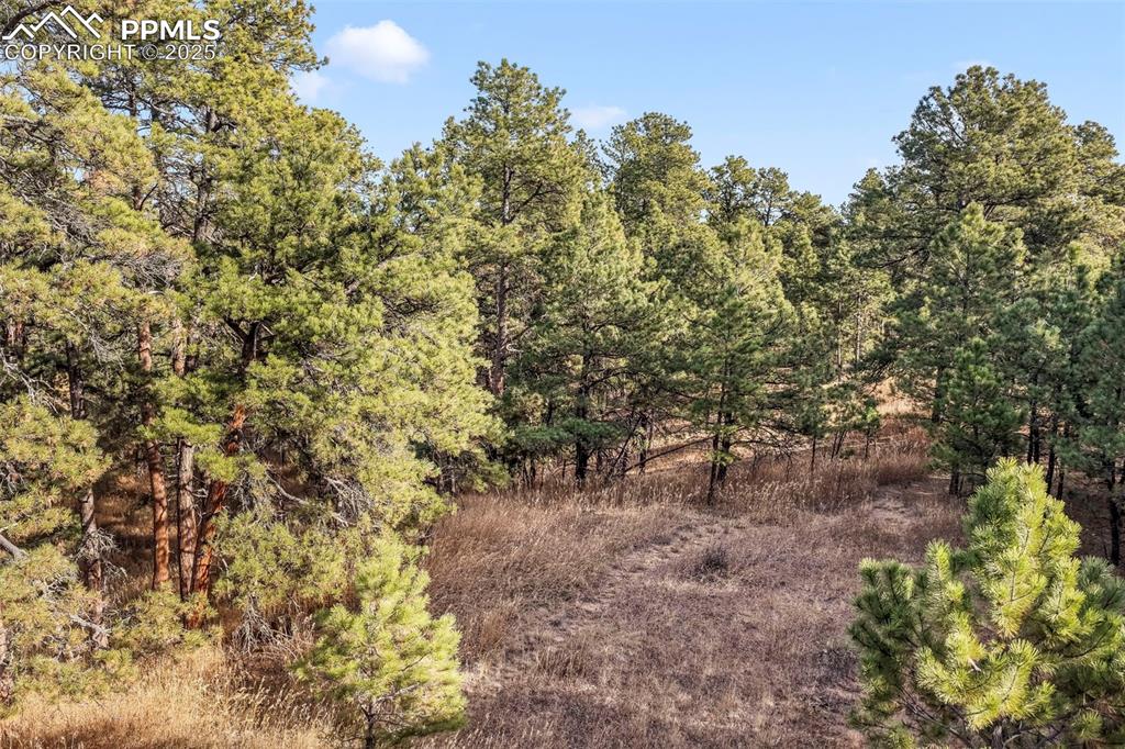 18230 Cumbres Court Peyton CO 80831