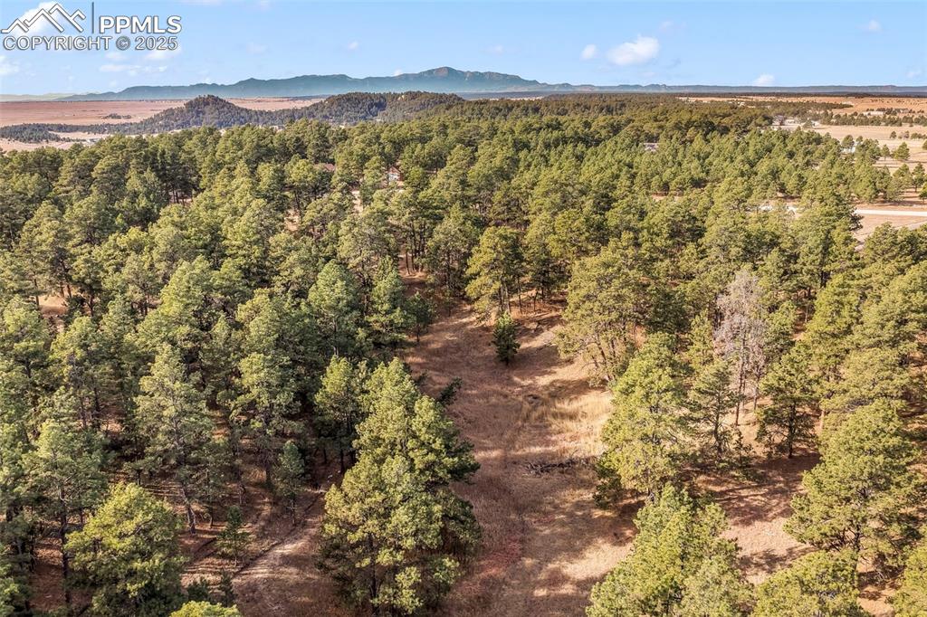 18230 Cumbres Court Peyton CO 80831