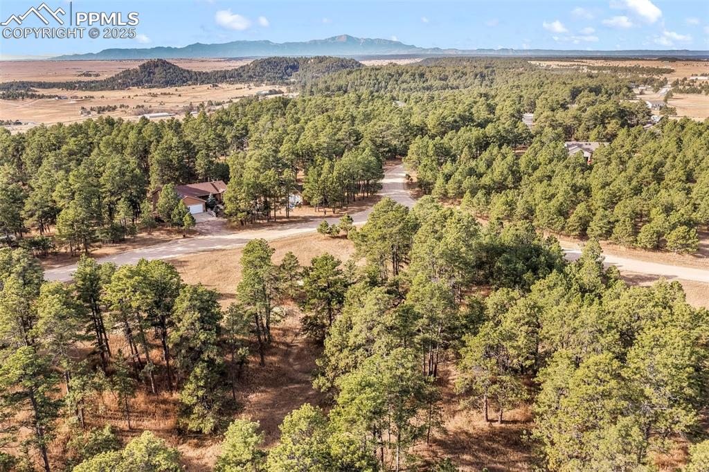 18230 Cumbres Court Peyton CO 80831