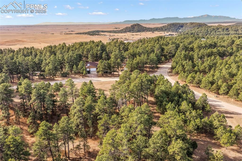 18230 Cumbres Court Peyton CO 80831