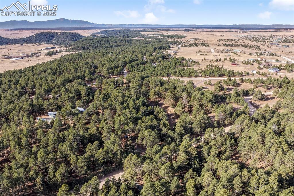 18230 Cumbres Court Peyton CO 80831