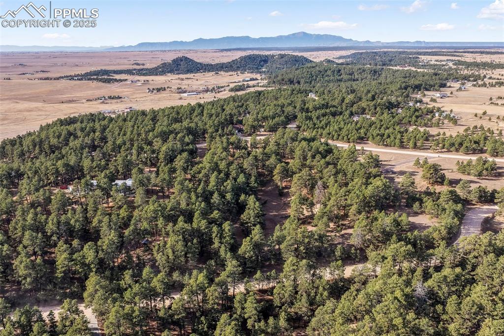 18230 Cumbres Court Peyton CO 80831