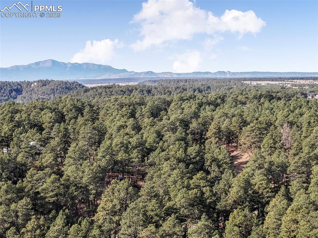 18230 Cumbres Court Peyton CO 80831