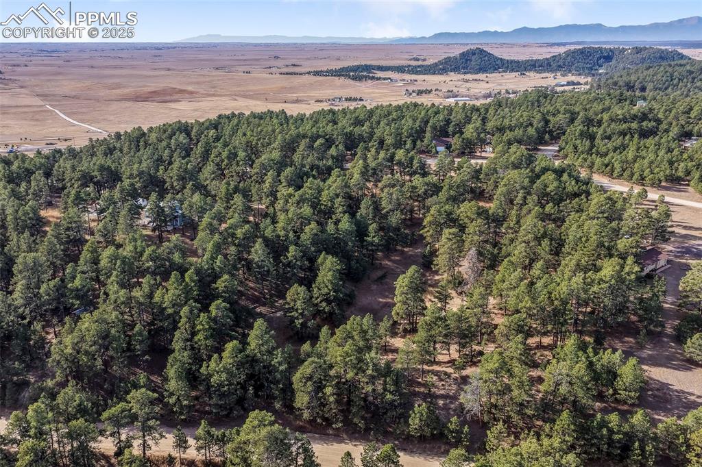 18230 Cumbres Court Peyton CO 80831