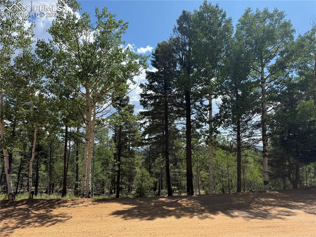 242 Apache Creek Drive Florissant CO 80816