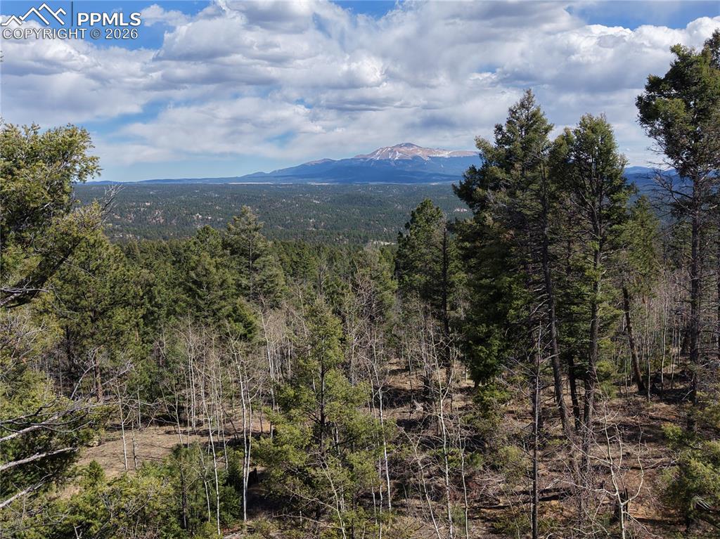 242 Apache Creek Drive Florissant CO 80816