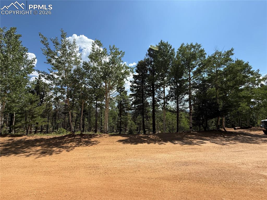 242 Apache Creek Drive Florissant CO 80816