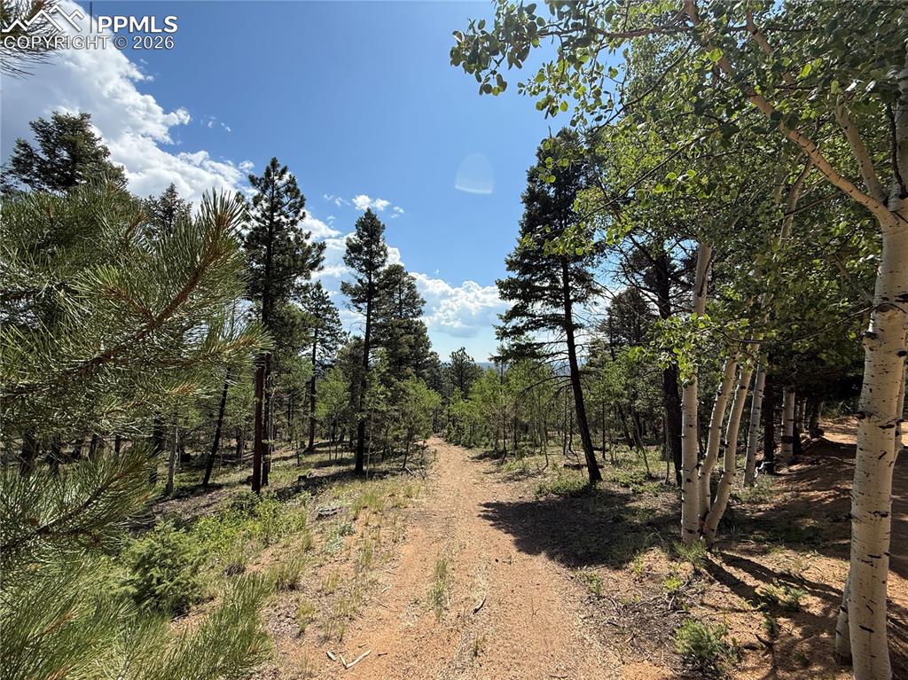 242 Apache Creek Drive Florissant CO 80816