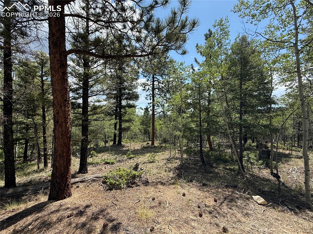 242 Apache Creek Drive Florissant CO 80816