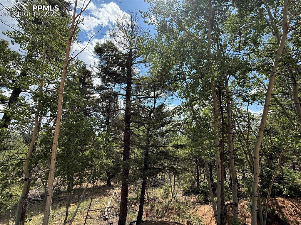 242 Apache Creek Drive Florissant CO 80816