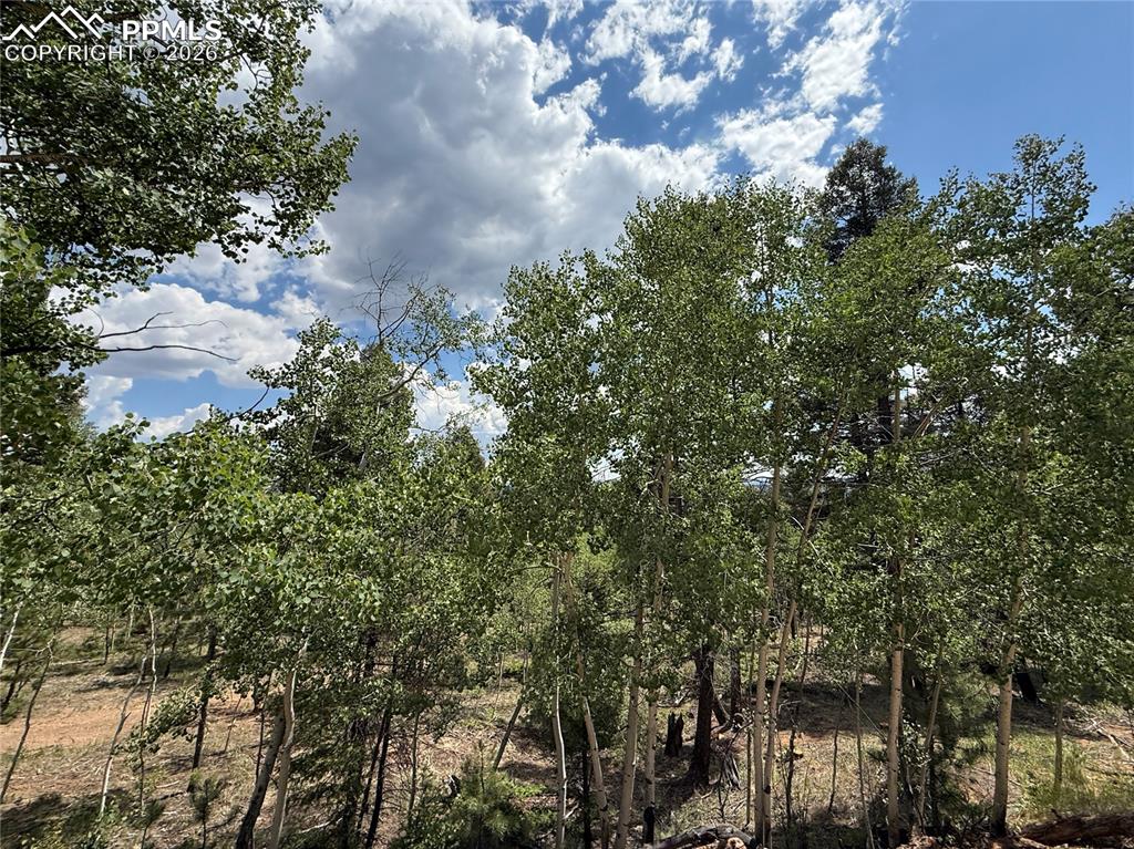 242 Apache Creek Drive Florissant CO 80816
