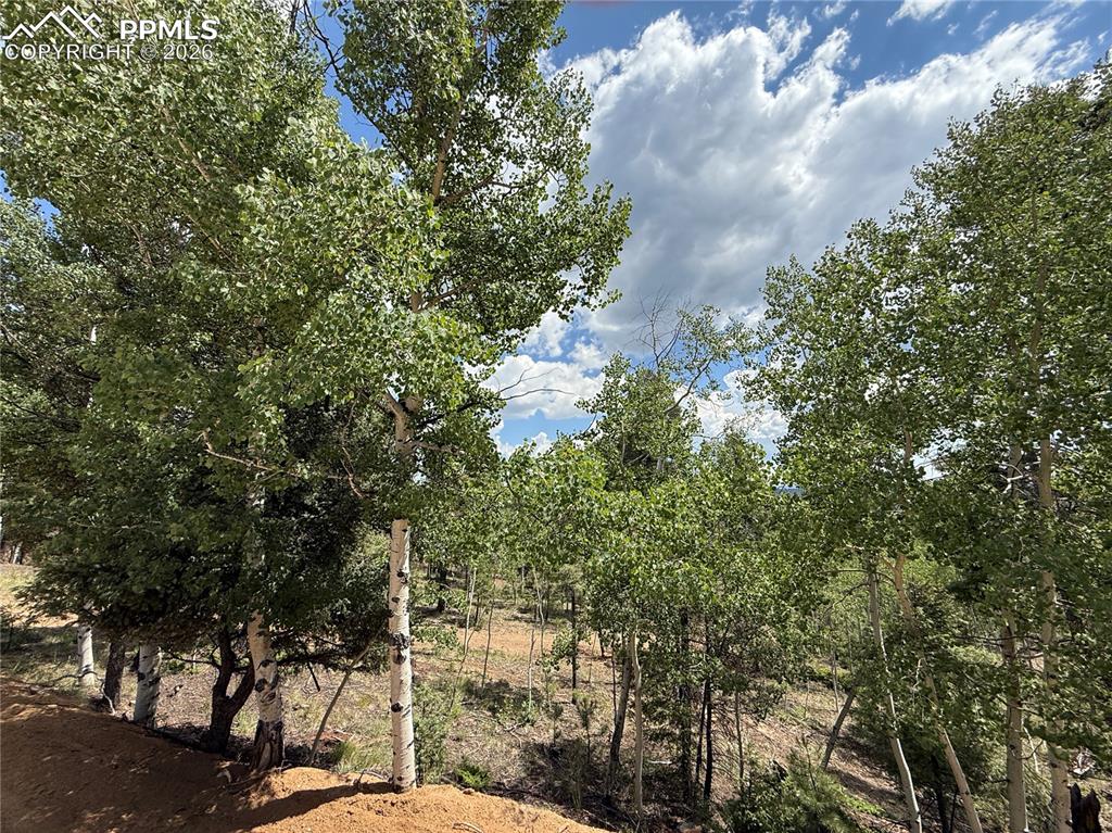 242 Apache Creek Drive Florissant CO 80816