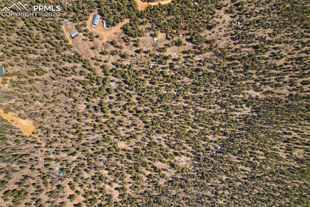 242 Apache Creek Drive Florissant CO 80816