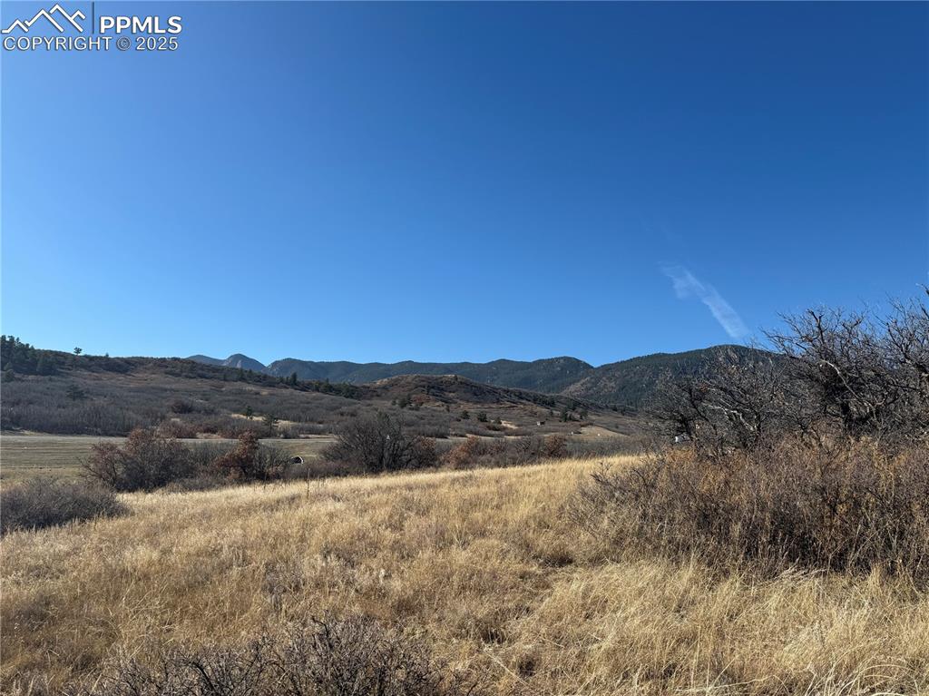 3354 White Bear Point Colorado Springs CO 80921