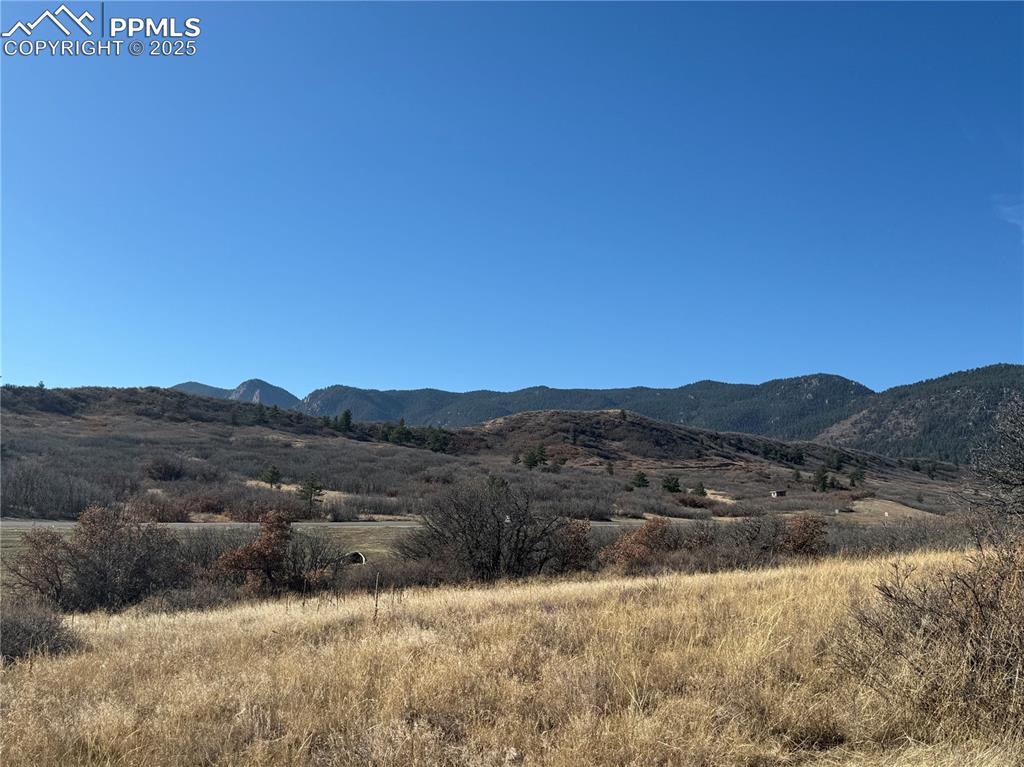3354 White Bear Point Colorado Springs CO 80921