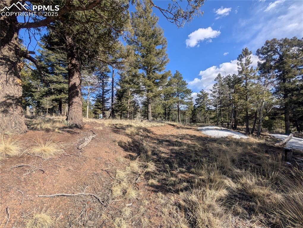 56 Rampart Circle Florissant CO 80816
