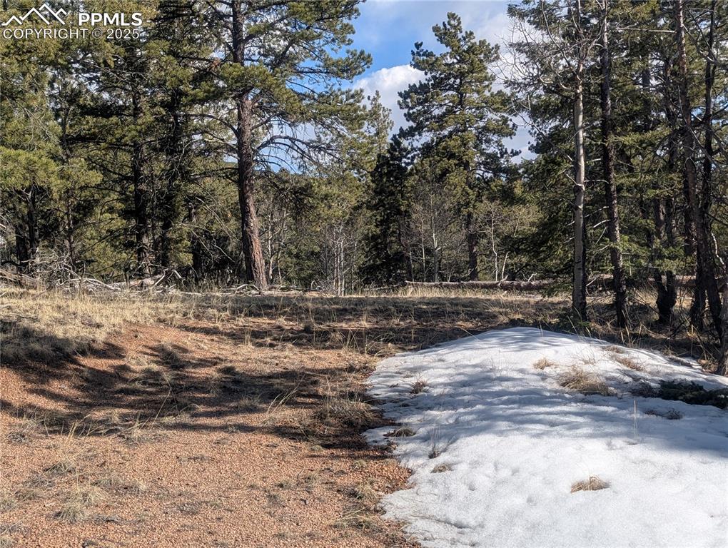 56 Rampart Circle Florissant CO 80816
