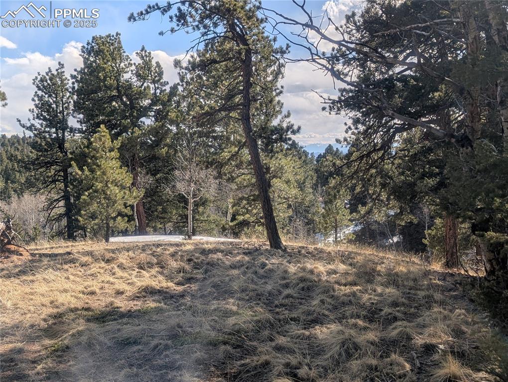 56 Rampart Circle Florissant CO 80816