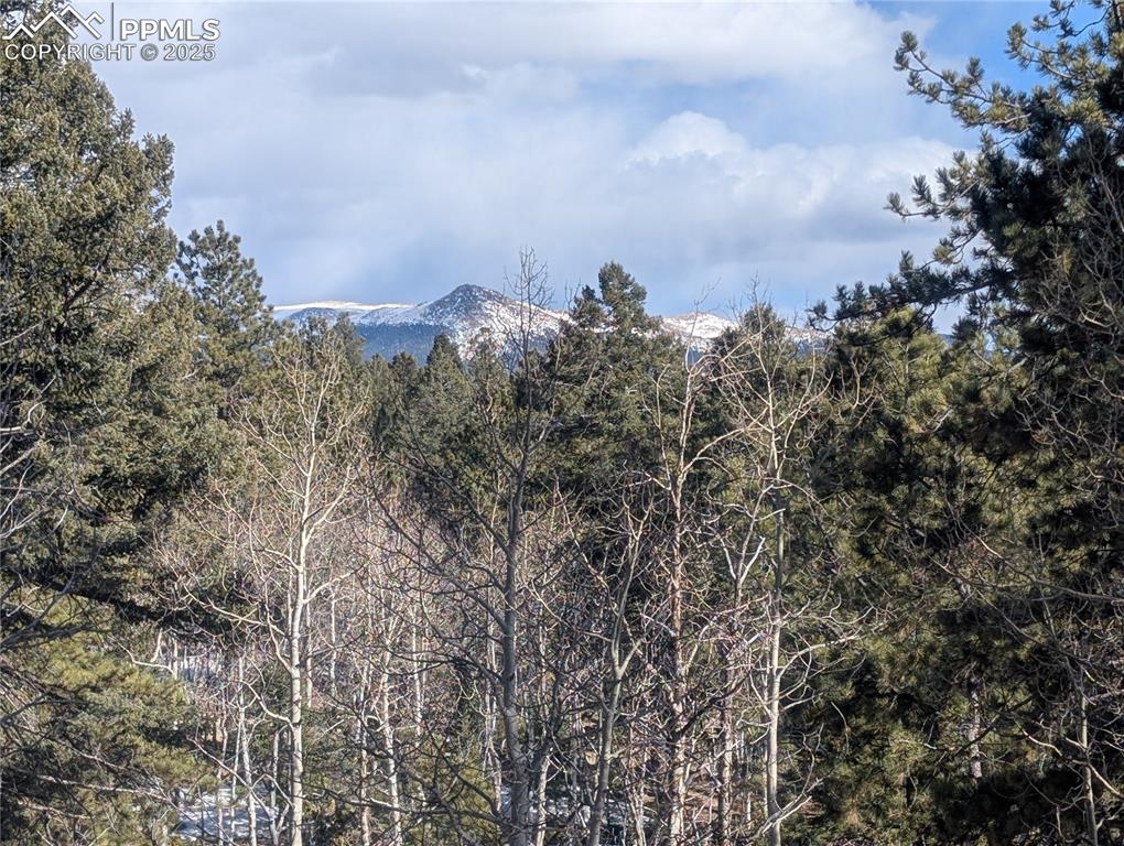 56 Rampart Circle Florissant CO 80816